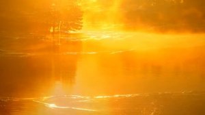 Медитация "Латихан"