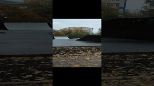 Парк возле Нового / Цифрового планетария