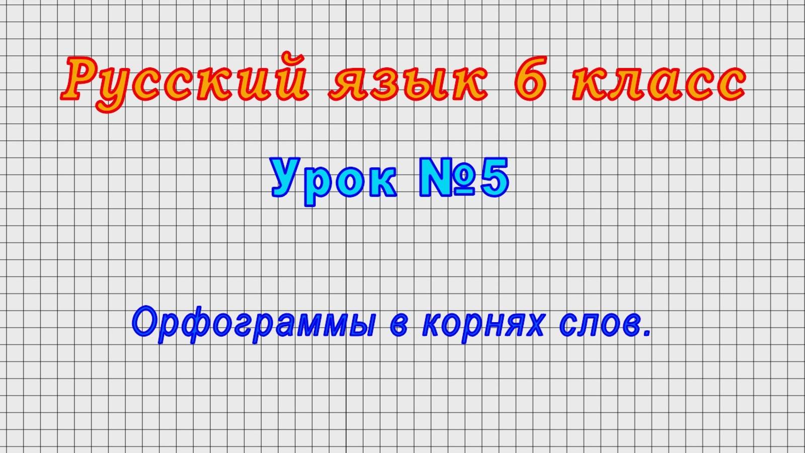 Русский язык 6 класс (Урок№5 - Орфограммы в корнях слов.)