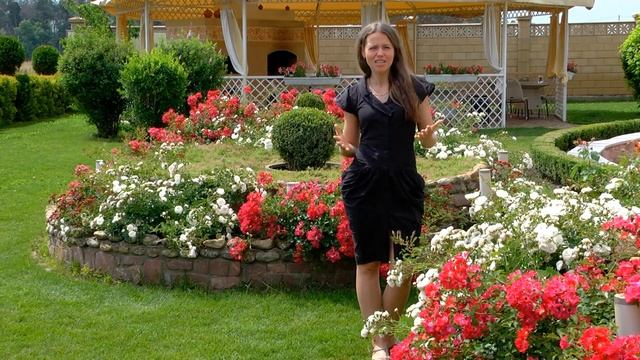 Отзыв о программе подготовки тренеров | Наталья Дорошенко смотреть онлайн