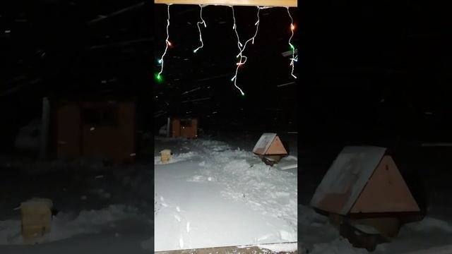 Старый Новый Год на даче, провожаю.