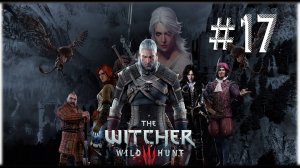 Ведьмак 3: Дикая Охота. 17 стрим по игре The Witcher 3: Wild Hunt