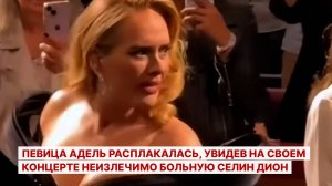 Певица Адель расплакалась, увидев на своем концерте неизлечимо больную Селин Дион