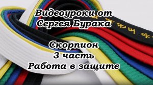 Видеоуроки от Сергея Бурака. Скорпион. 3 часть. Работа в защите.