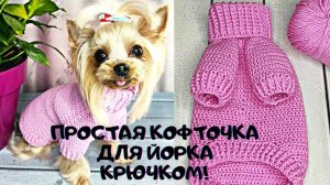 Вяжем крючком простой и стильный свитер для собак - Йорка или Той терьера