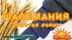 💗 МАКСИ ШАРФИК СОФИ 🧣ЭКСПРЕСС МК КАК ВЯЗАТЬ/ПРЯЖА ДЛЯ ШАРФИКА/"ШАЛЕМАНИЯ. ЗОЛОТАЯ ОСЕНЬ"/октябрь