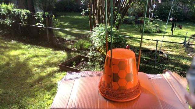 Anthropology & Pier One Dupes - Made w/Dollar Tree Tomato Cages! Home Decor! смотреть онлайн