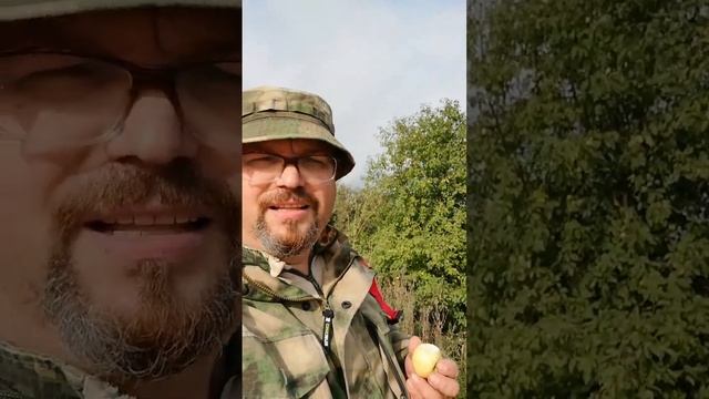 Яблоки вместо рыбы.