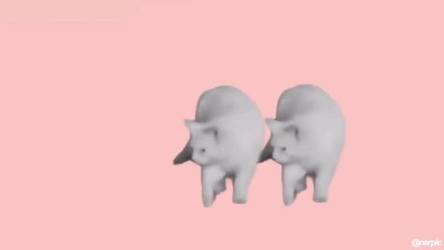 Самое быстрое видео про кота смотреть онлайн