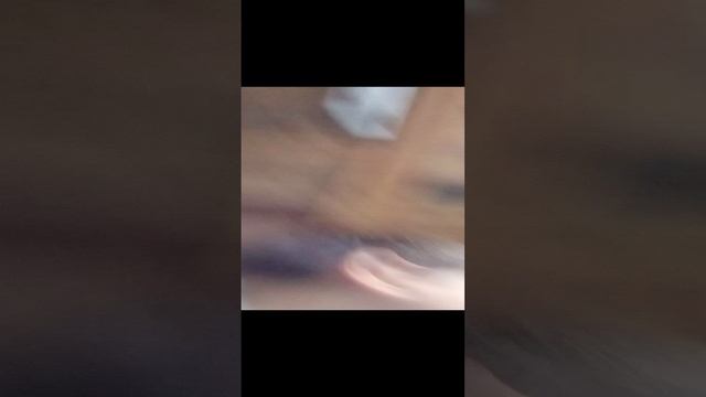 VID_20241030_195223.mp4