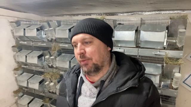 ГЛАВНАЯ ЦЕЛЬ ШИНШИЛЛОВОДА | СЕЛЬСКОЕ ХОЗЯЙСТВО | ФЕРМА МЕХОВЫХ ШИНШИЛЛ смотреть онлайн