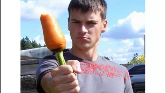 Пинатор - инструмент самодисциплины и мотивации смотреть онлайн