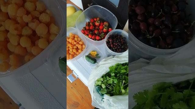 Очередной июльский микроурожайчик.
