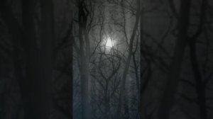 СТРАШНАЯ ЛЕГЕНДА ТЕКЕ-ТЕКЕ