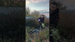 Инструкция по высадке голубики СадЦентрБай Мозырь