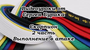 Видеоуроки от Сергея Бурака. Скорпион. 2 часть. Выполнение в атаке.