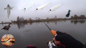 Осенняя щука в Стрелецком ручье