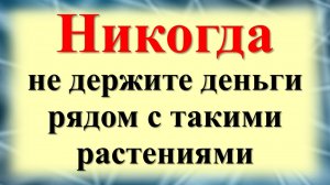 Как растения блокируют денежный поток? Приметы для финансовой удачи!