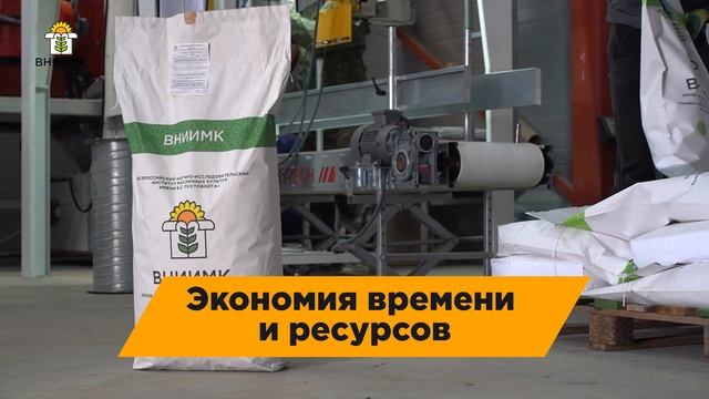 Инкрустирование семян подсолнечника – основа защиты культуры от болезней и почвообитающих вредителе