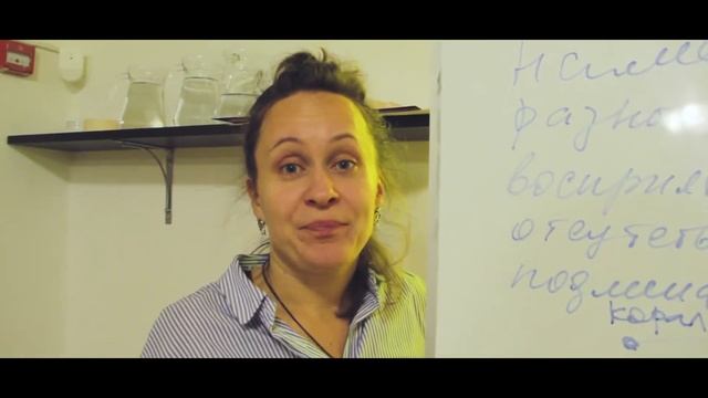ВСЕЗАОДНО.VLOG // Лидерский курс#1