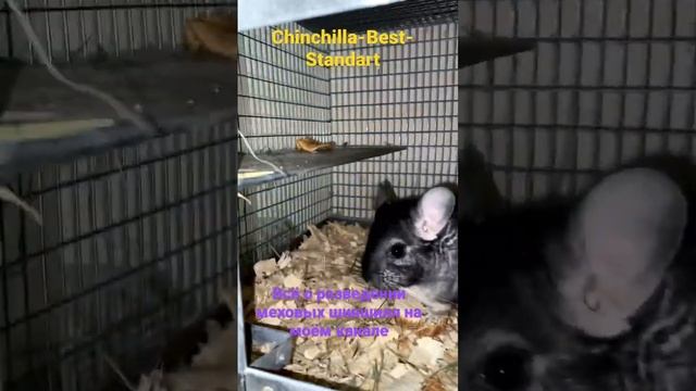 Сельское хозяйство смотреть онлайн