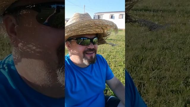 Не много о траве, точнее газоне.