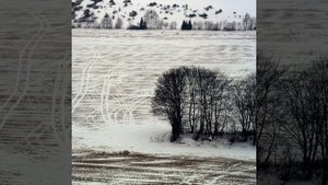 Untitled 7