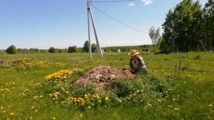 21.05.23 Кабачки будут или нет?  I bought land in Russia and enjoy it.