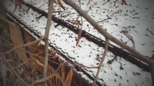 Русская баня на дровах в Белгороде