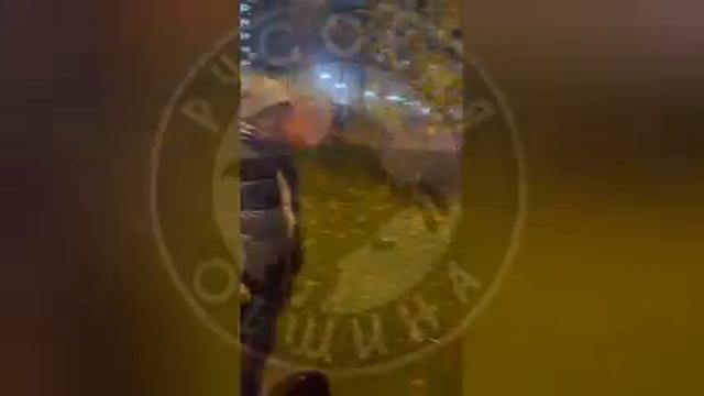 Вооруженные уроженцы Закавказья напали на нашего соратника, но прибывшая Дружина пресекла их беспред