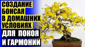 💡 БОНСАЙ ИЗ ЯБЛОНИ ИЗ КОСТОЧКИ ❗ КОМНАТНЫЕ РАСТЕНИЯ КУПИТЬ С ДОСТАВКОЙ