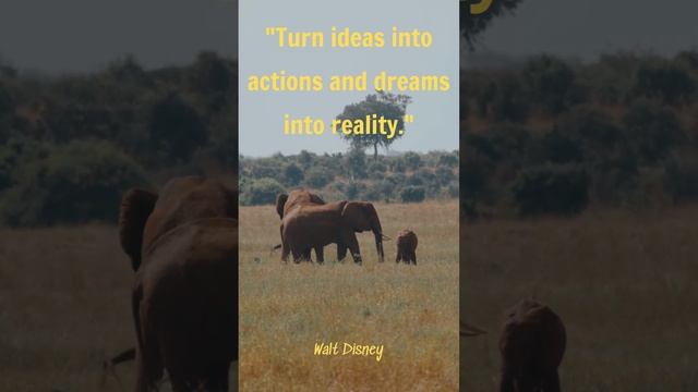 meaning of life. philosophy of life. famous sayings of famous people. inspirational sayings смотреть онлайн