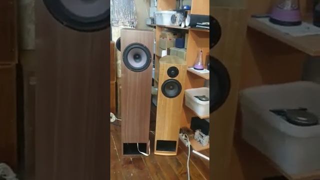 напольная акустика лабиринт широкополосный seas fr22 prestige
