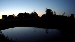 Песни водяных красавиц в июне.
