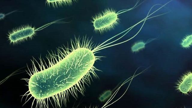 Buttermilk Nutrition Facts And Benefits | Buttermilk Health Benefits | Health Tips смотреть онлайн