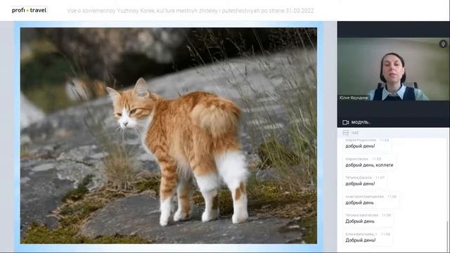 Все о современной Южной Корее, культуре местных жителей и путешествиях по стране