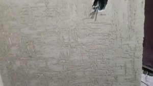 короед. декоративная штукатурка короед. штукатурию стены под структуру короеда. рисунок "крестики".