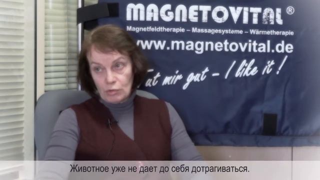 Оценка системы MAGNETOVITAL® для лошадей по результатам апробации смотреть онлайн