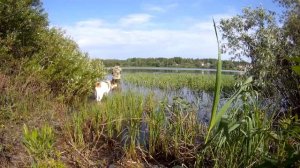 01.06.24 Приехал в комариное царство.