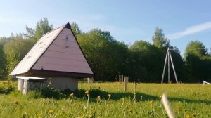 Песни птиц Новгородский области в России матушке. Songs of birds of the Novgorod region in  Russia.