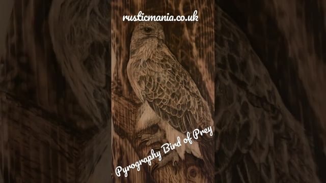 Beautiful pyrography bird of prey on Western Red Cedar… #art #artist #birdofprey #birds #gift