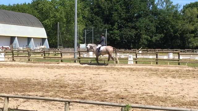 CCE castres 21 mai 2017 смотреть онлайн