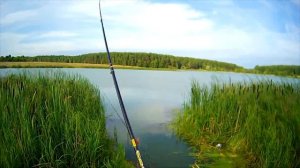 Рыбалка карась Отчет 19 07 2015