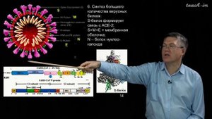 Дубынин В.А. - 100 часов школьной биологии - 2.8. Вирусы