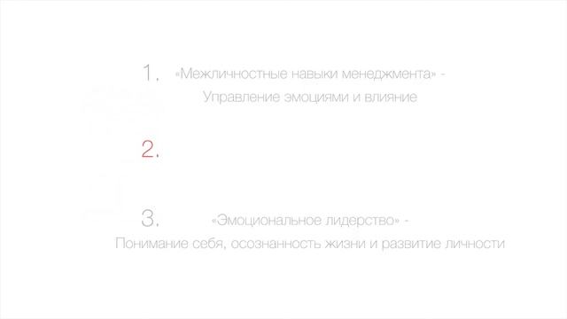 Анастасия Чучалина об "Эмоциональном лидерстве" | Тренинговая компания Advance AG