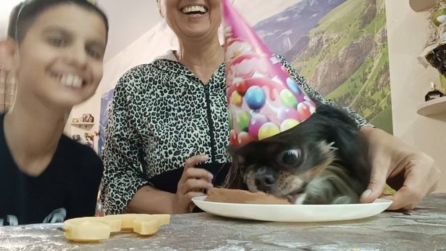 День Рождения Гарика!!!