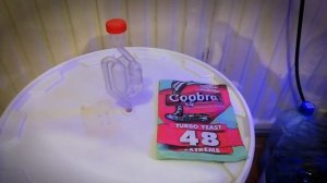 Моя первая брага.