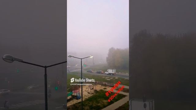 #туман #теплаяосень #октябрь #октябрь2024