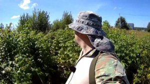 05.08.23 Сладкий денёк.