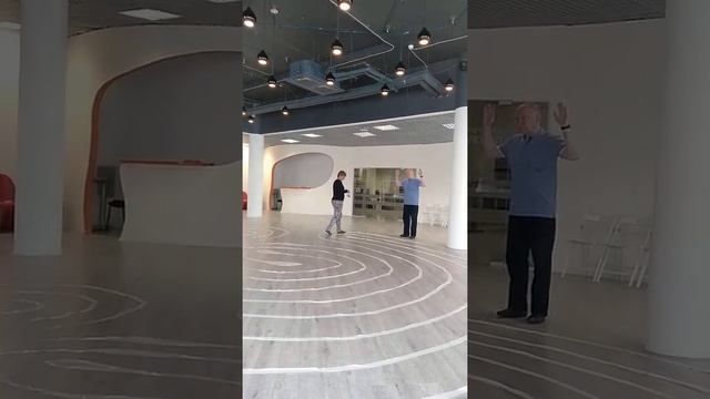 Вхождение в лабиринт на семинаре Владимира Ефимова